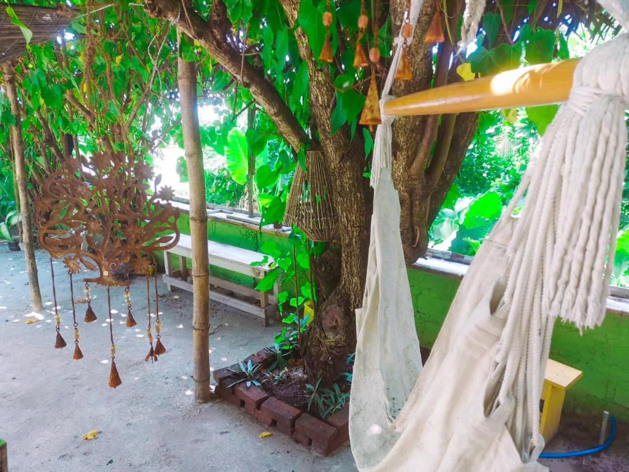 Gaia Ocean Surf Yoga Hostel Ahangama Exterior foto